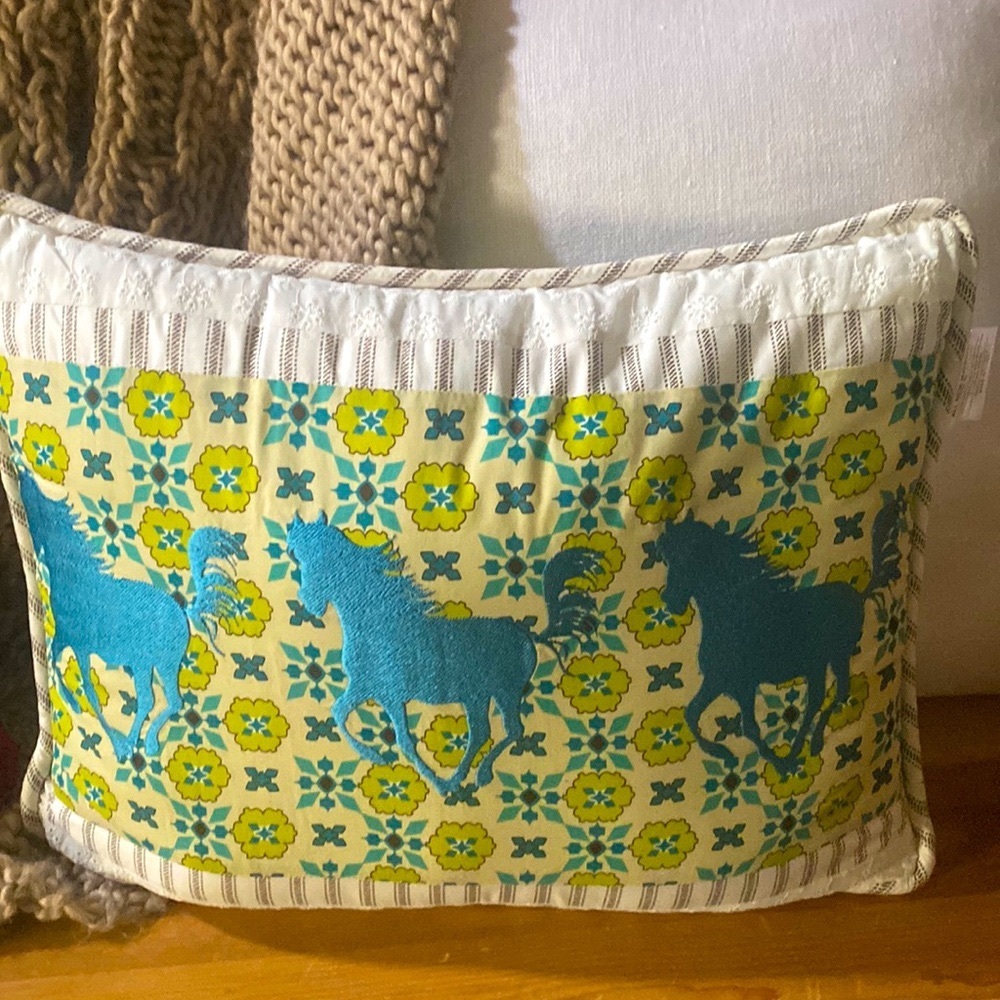 HIEND ACCENTS THROW PILLOW 
16" × 21* NWT
Medallion patterns: Turquoise & beige